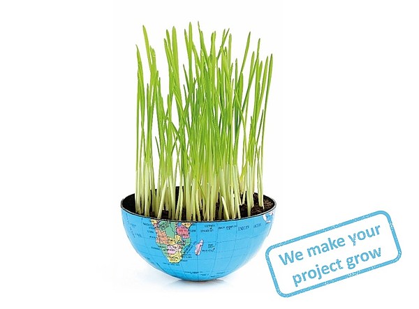 What we do What we do